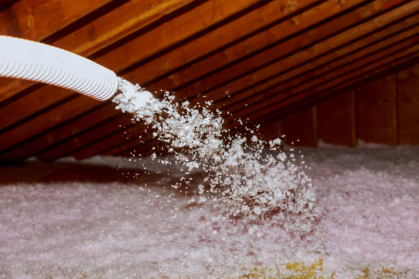 Best Insulation for Commercial Buildings  in Eerlin, ND
