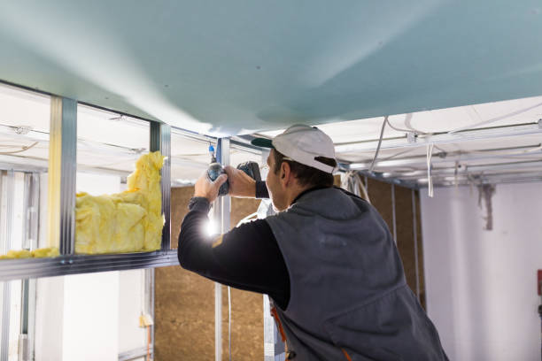 Professional Insulation Contractor in Enderlin, ND