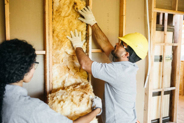 Insulation Inspection Services in Enderlin, ND